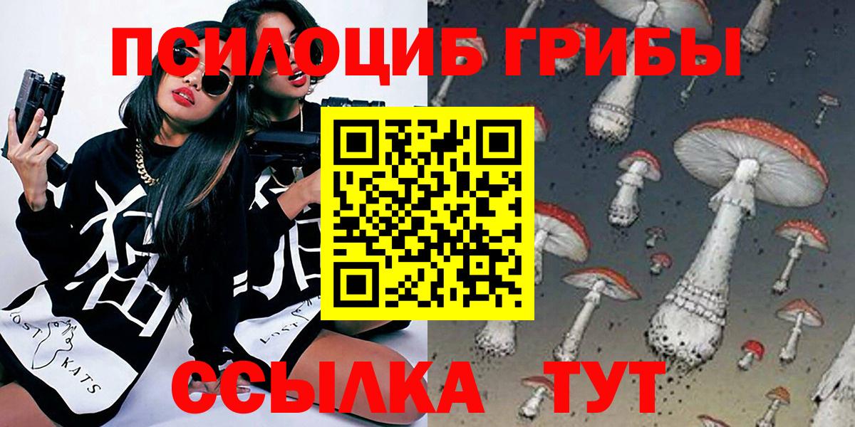 Галлюциногенные грибы Cubensis Краснознаменск