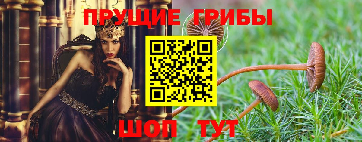 Краснознаменск  Галлюциногенные грибы Cubensis  Вход с VPN  Галлюциногенные грибы ЛСД 