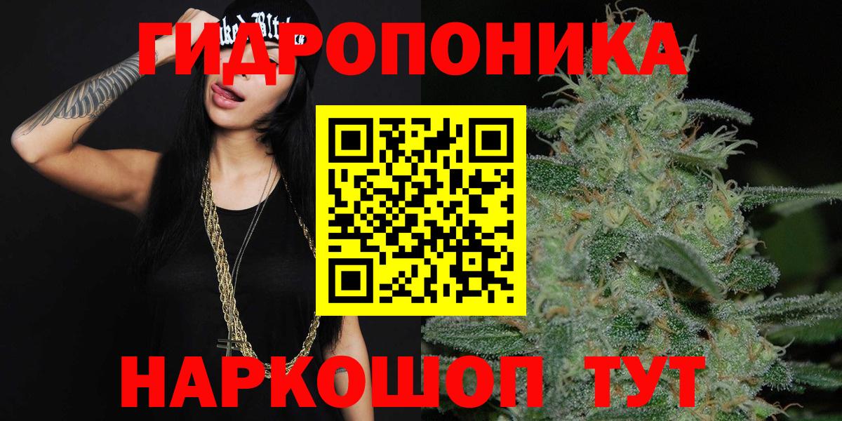 Каннабис сатива Краснознаменск